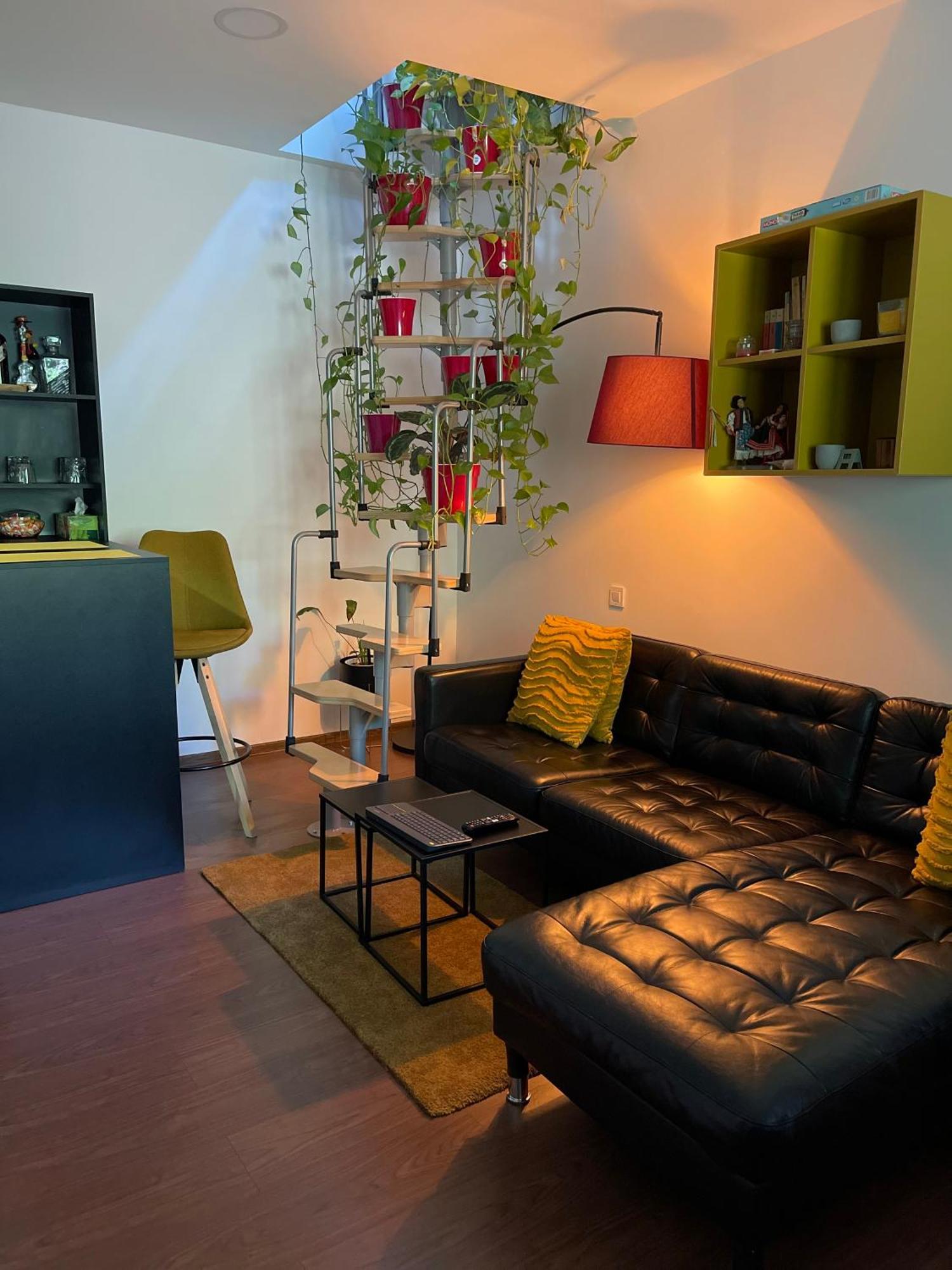 City Garden Apartments Bucarest Esterno foto