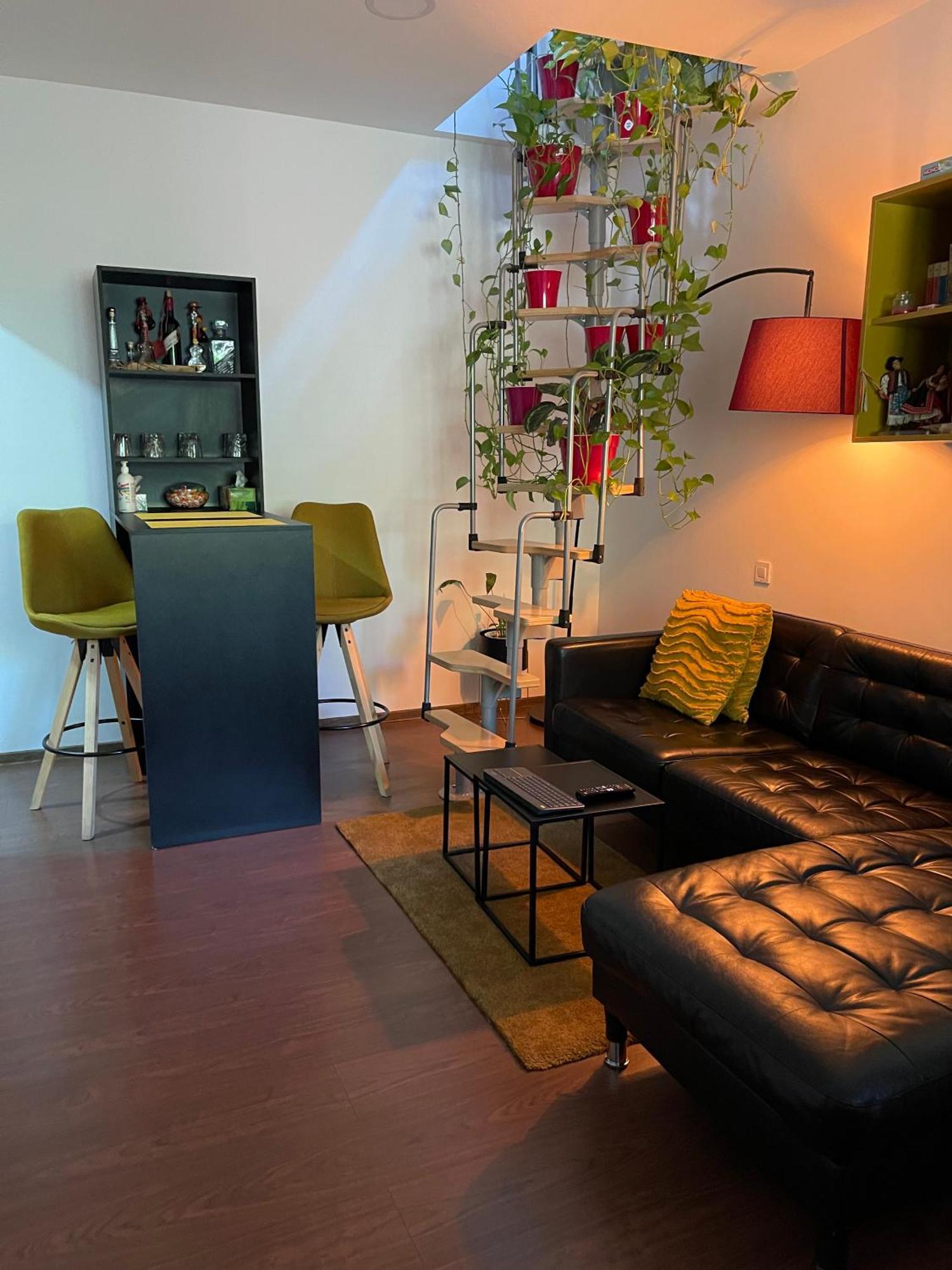 City Garden Apartments Bucarest Esterno foto