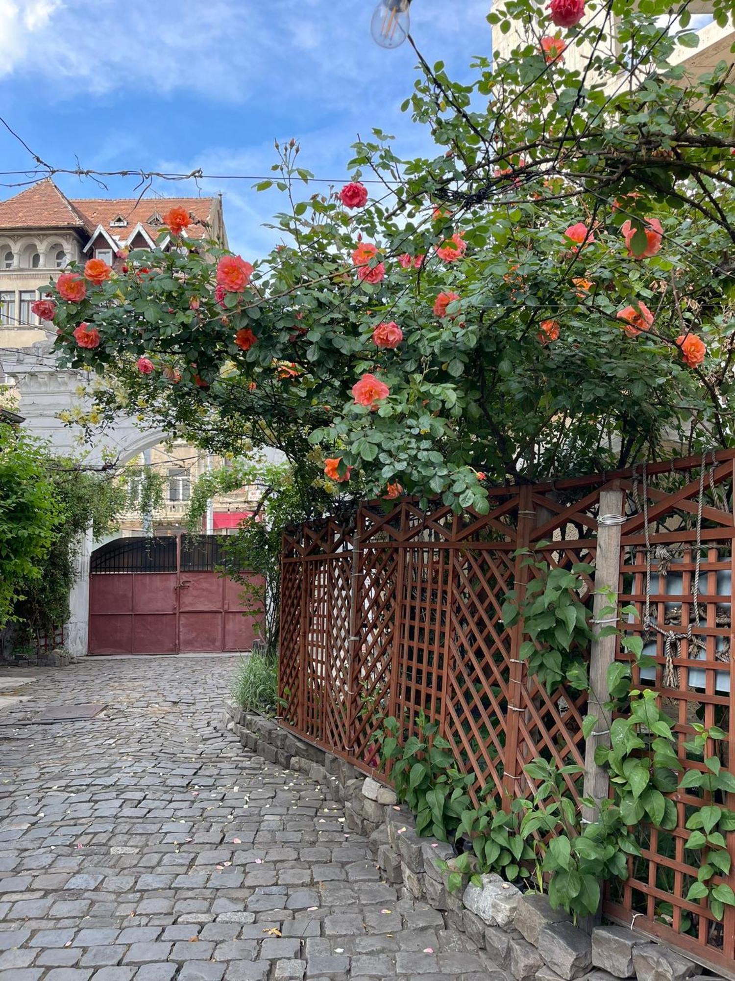 City Garden Apartments Bucarest Esterno foto